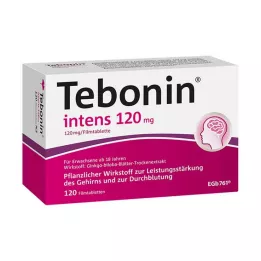 TEBONIN intens επικαλυμμένα με λεπτό υμένιο δισκία 120 mg, 120 τεμ