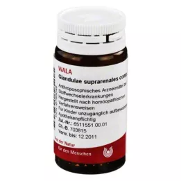 GLANDULAE SUPRARENALES συζ.Γλομπούλι, 20 γρ