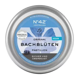SELBSTVERTRAUEN Παστίλια λουλουδιών Bach κατά τον Dr. Bach, 50 γρ