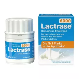 LACTRASE 6.000 FCC κάψουλες, 60 τεμ