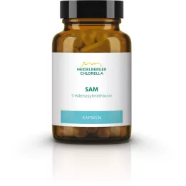 SAM S-ADENOSYLMETHIONIN κάψουλες, 60 τεμ