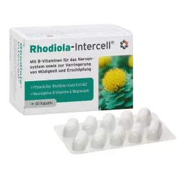 RHODIOLA-INTERCELL κάψουλες, 60 τεμ
