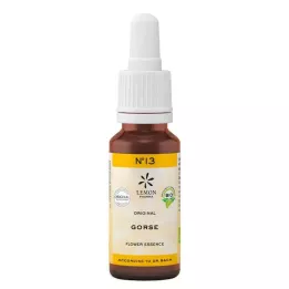 BACHBLÜTEN No.13 Gorse Organic, 20 ml