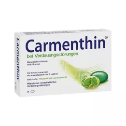 CARMENTHIN για πεπτικές διαταραχές msr.Μαλακές κάψουλες, 14 τεμ