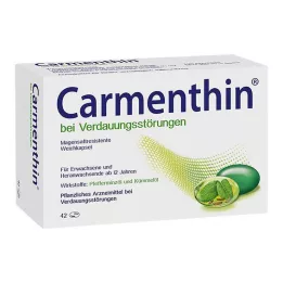 CARMENTHIN για πεπτικές διαταραχές msr.Μαλακές κάψουλες, 42 τεμ