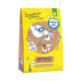 DE Dirt Sparrow Treasure Chest Have Fun, 1 τεμ