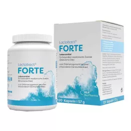 LACTOBACT Forte γαστροανθεκτικές κάψουλες, 120 τεμ