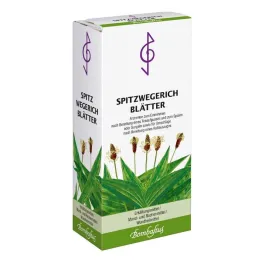 Τσάι από φύλλα πλανάνης Ribwort, 75 γρ