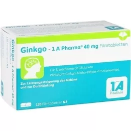 GINKGO-1A Pharma 40 mg επικαλυμμένα με λεπτό υμένιο δισκία, 120 τεμ