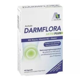 DARMFLORA Aktiv Plus 100 δισεκατομμύρια βακτήρια + 7 βιταμίνες, 40 τεμ