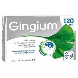 GINGIUM 120 mg επικαλυμμένα με λεπτό υμένιο δισκία, 60 τεμ