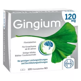 GINGIUM 120 mg επικαλυμμένα με λεπτό υμένιο δισκία, 120 τεμ