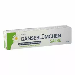 GÄNSEBLÜMCHEN Αλοιφή με αμαμελίδα &amp; Πανθενόλη, 50 ml