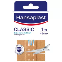 HANSAPLAST Κλασικός σοβάς 6 cmx1 m, 1 τεμ