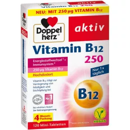 DOPPELHERZ Vitamin B12 250 ενεργά δισκία, 120 τεμ