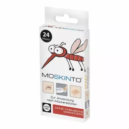 MOSKINTO Γύψινο κρεμαστό κουτί Ευρώ τρύπα, 24 τεμ