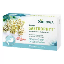 SIDROGA GastroPhyt 250 mg επικαλυμμένα με λεπτό υμένιο δισκία, 30 τεμ