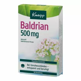 KNEIPP Βαλεριάνα 500 mg επικαλυμμένα με λεπτό υμένιο δισκία, 90 δισκία