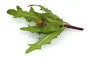 Instructions for use for GASTEO Σταγόνες για γαστρεντερικά προβλήματα, 100 ml - 6