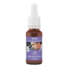 Άνθη Bach Νο 41 σταγόνες, 20 ml